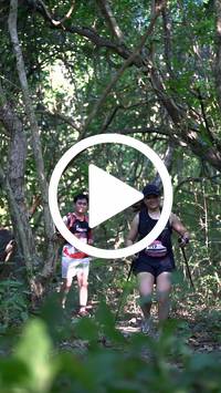 BIB:  <button type="button" onclick="openModal(28063961)" class="btn btn-primary btn-sm float-right" data-toggle="modal" data-target=".modal-high-quality">
                <i class="fa fa-download"></i> Download
                </button>